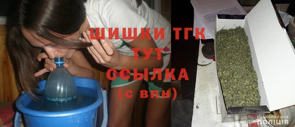 молекула духа Алексин