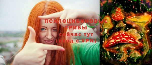 молекула духа Алексин
